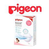 Pigeon 